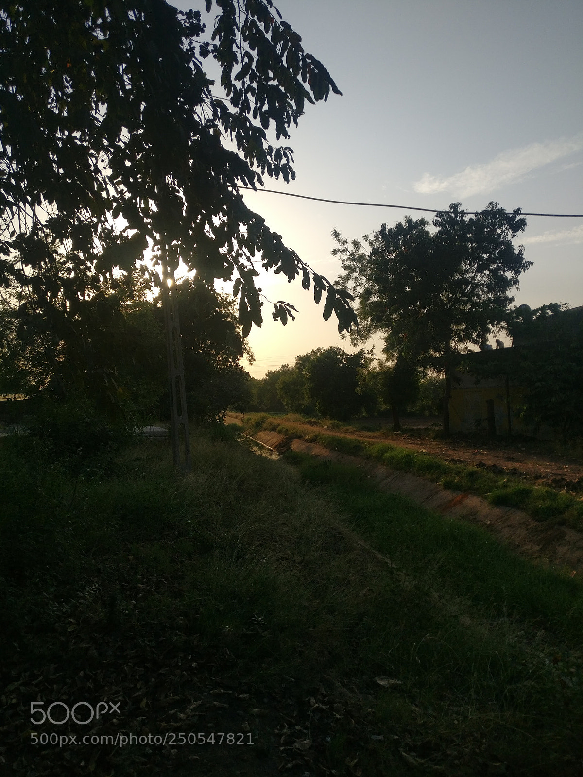 OnePlus A3003 sample photo. Untitled photography