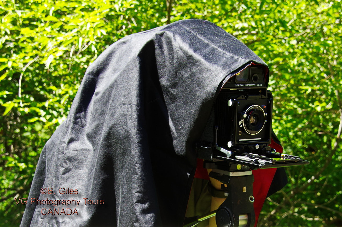 Pentax K-3 sample photo. Composition under cloth. photography