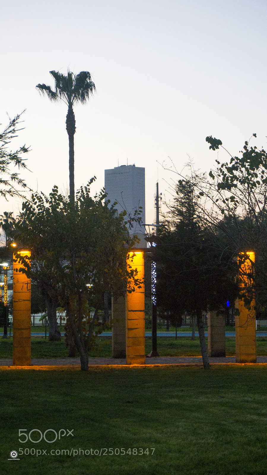 Sony a6000 sample photo. Mersin - pain photography