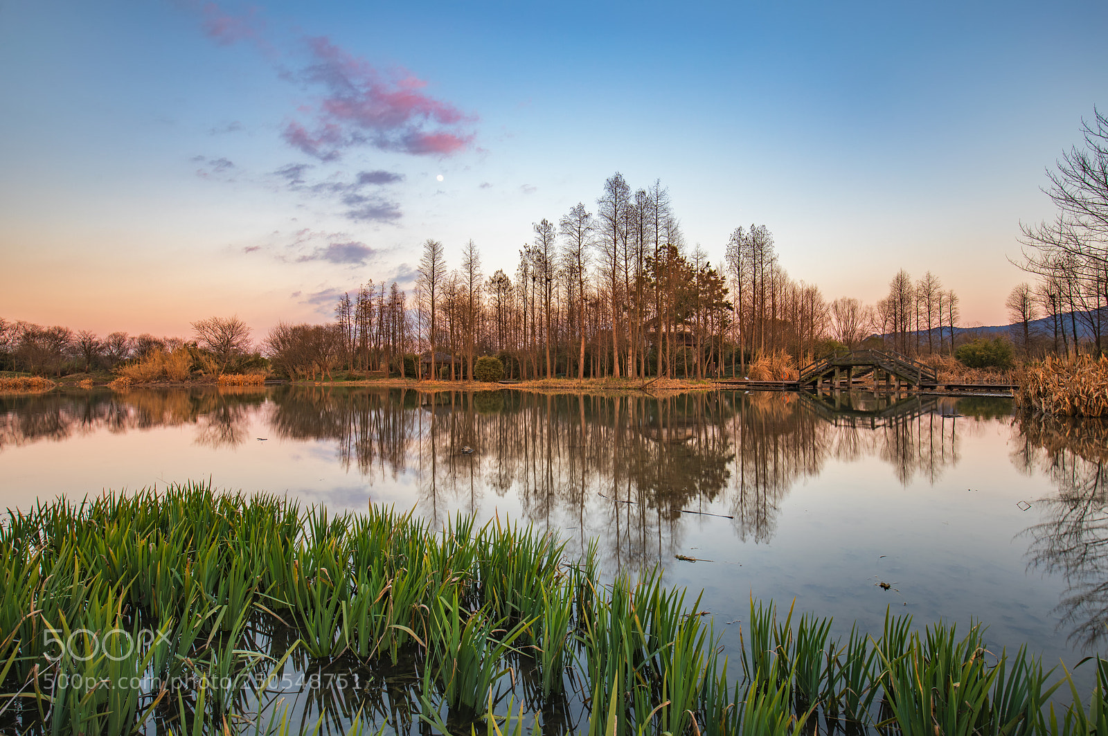 Canon EOS 5D Mark IV sample photo. Sunset at wet land photography