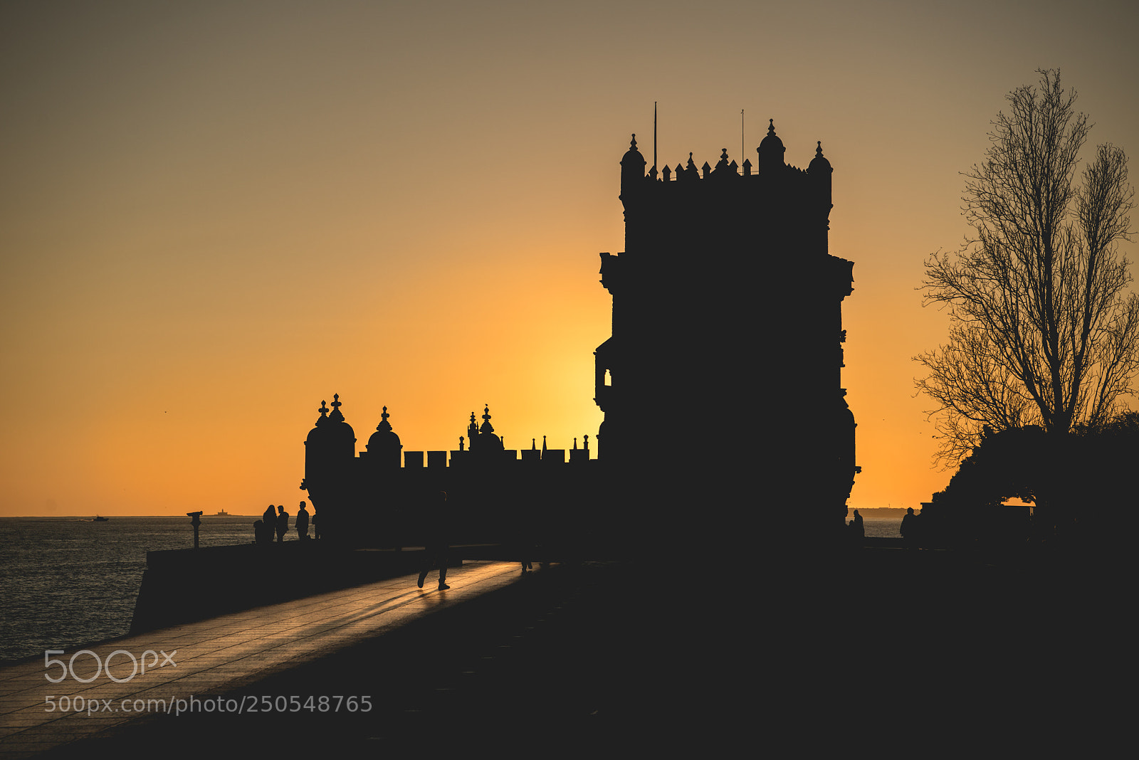 Nikon D800 sample photo. Silhouette of torre de photography