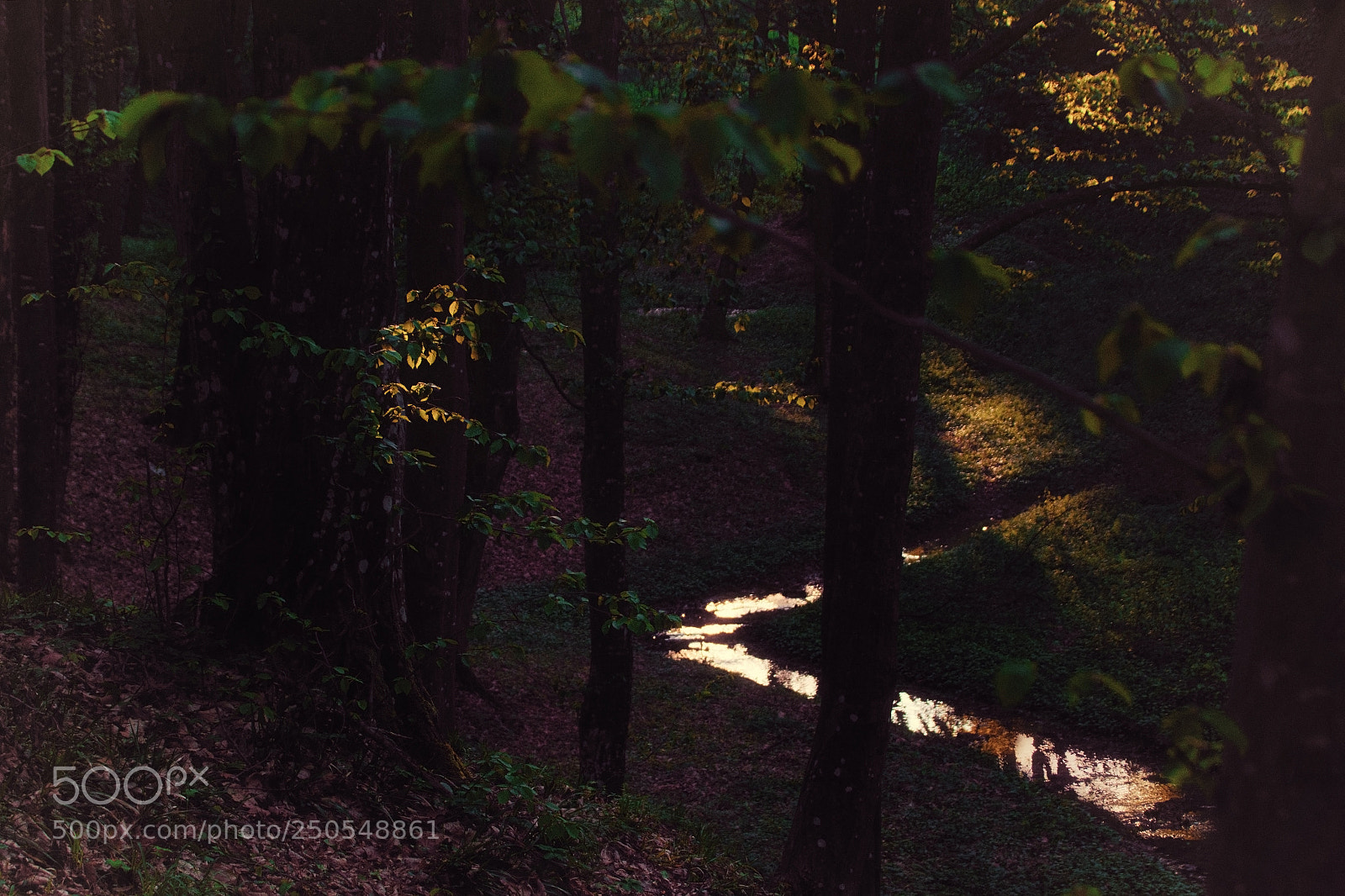 Nikon D7200 sample photo. About the light photography