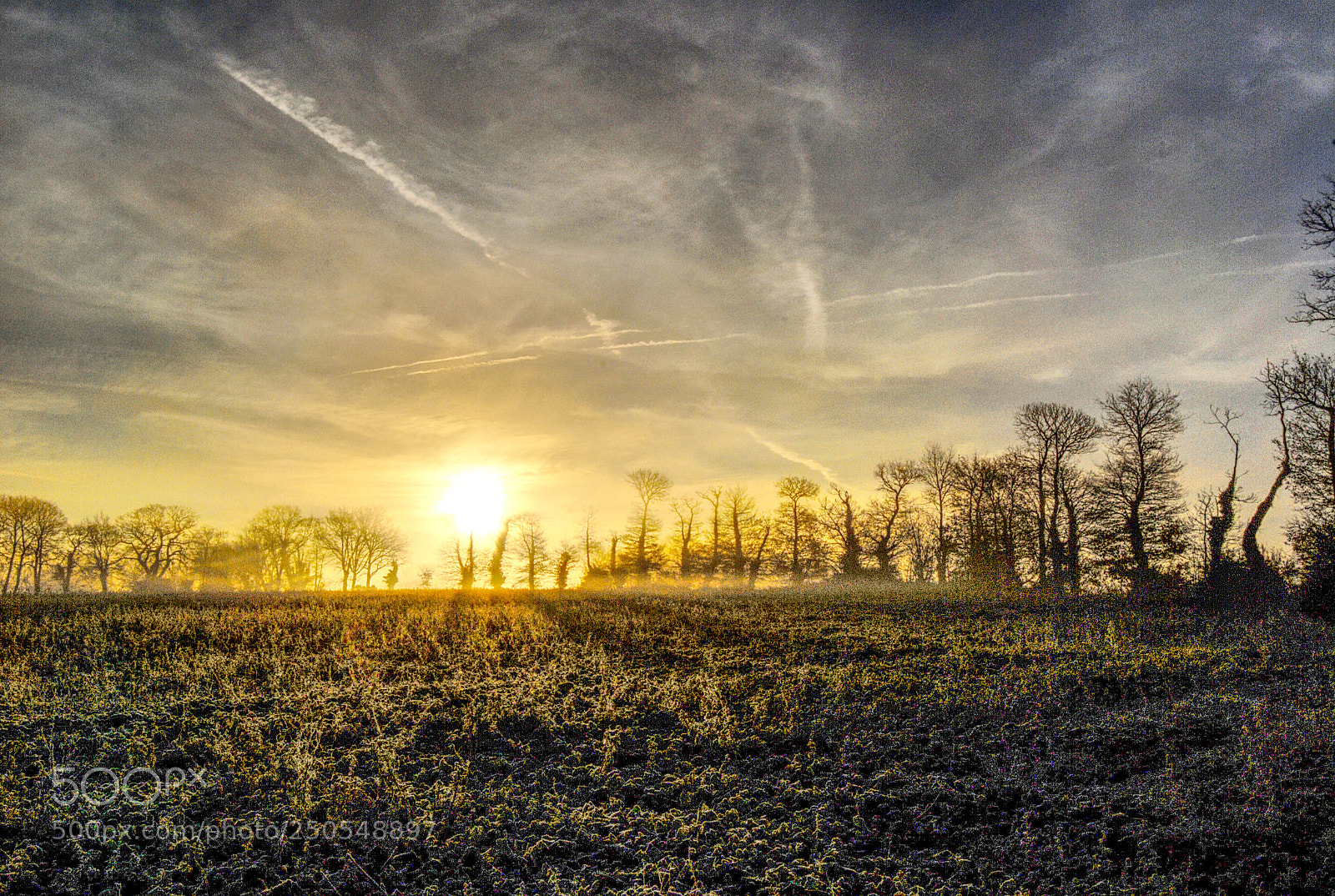Nikon D200 sample photo. Cold morning photography