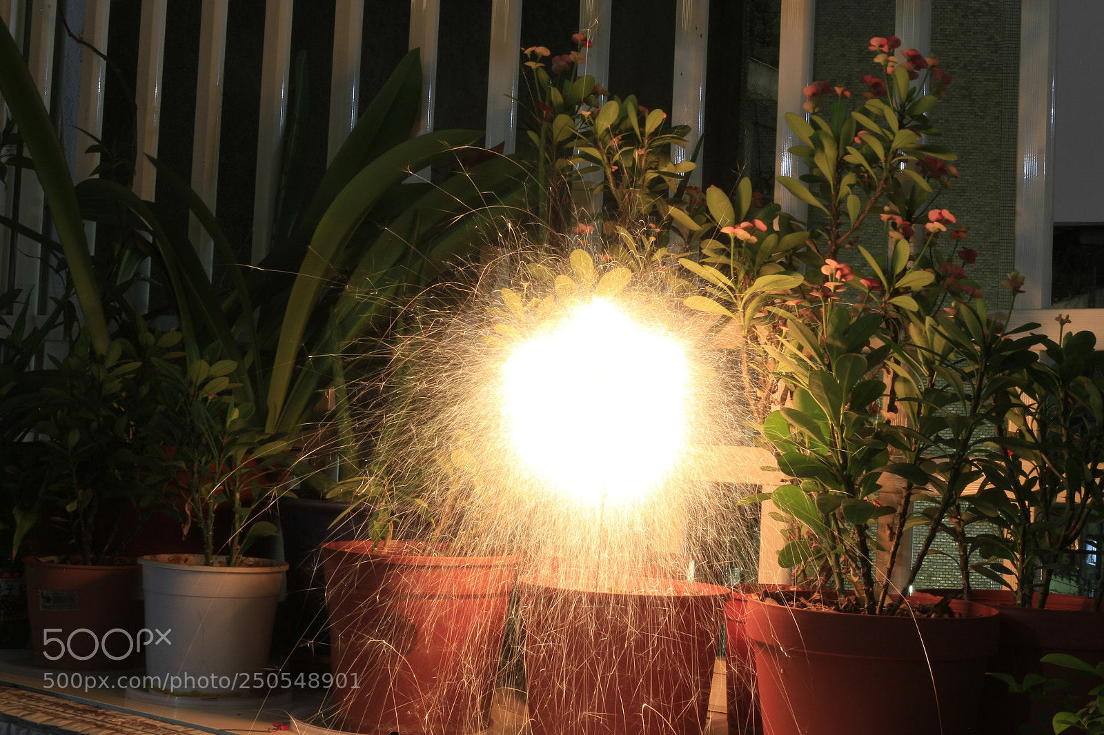 Canon EOS 700D (EOS Rebel T5i / EOS Kiss X7i) sample photo. Explosion photography