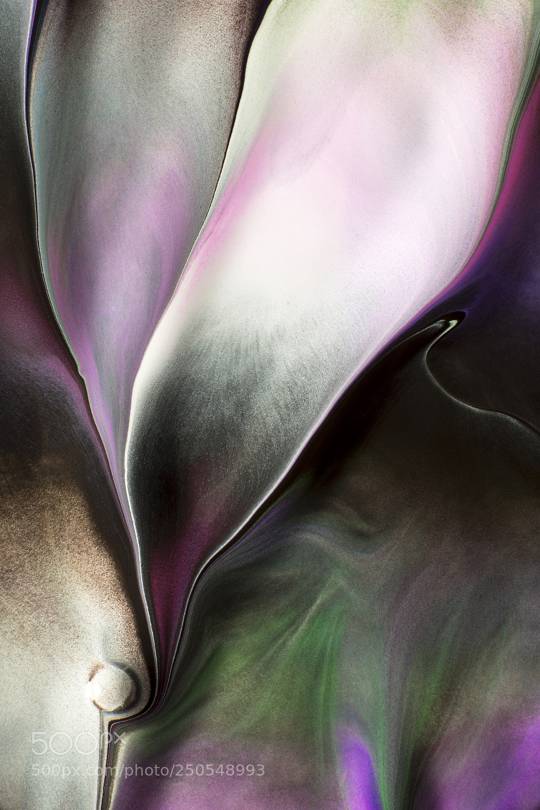 Sony a7R sample photo. Plate 6930 photography
