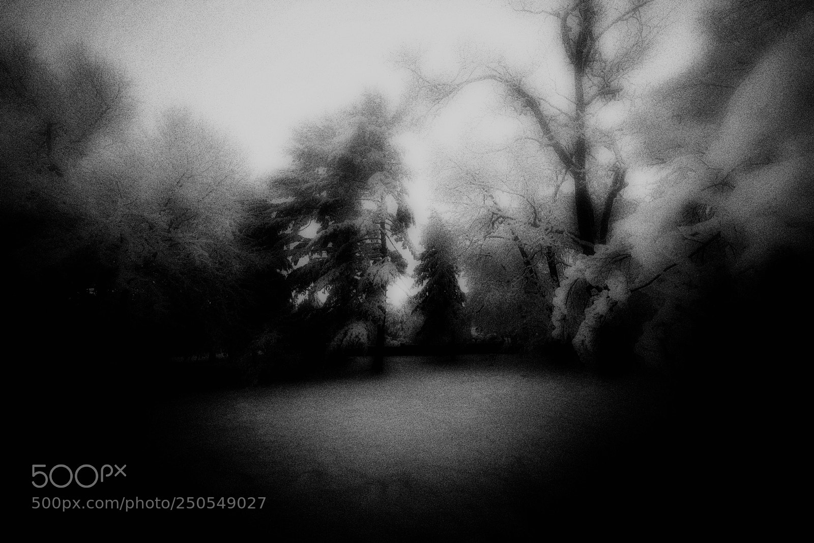 Sony a7R sample photo. Morning solitude photography