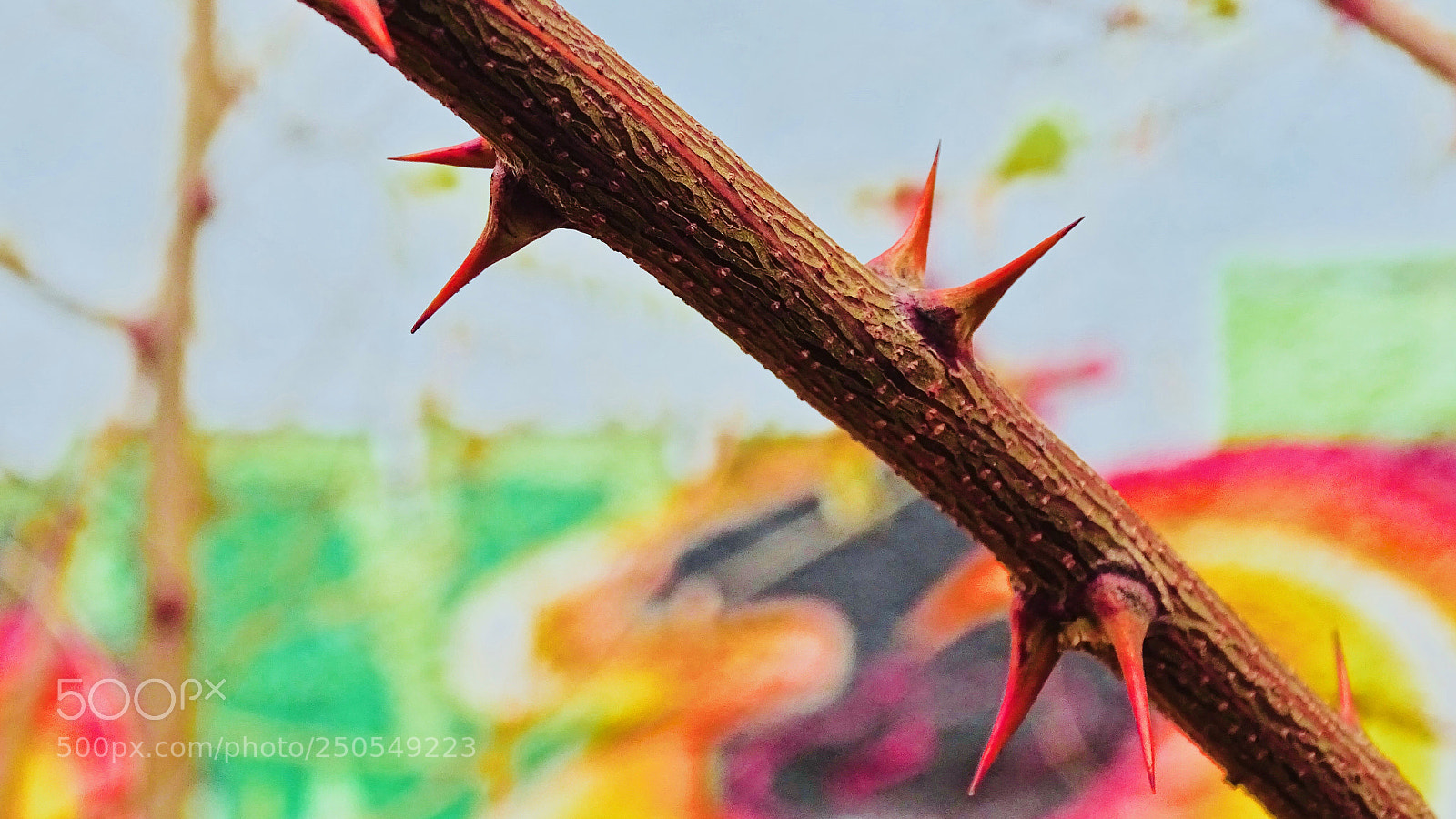 Sony Cyber-shot DSC-HX400V sample photo. Edit gone wild xvlll photography