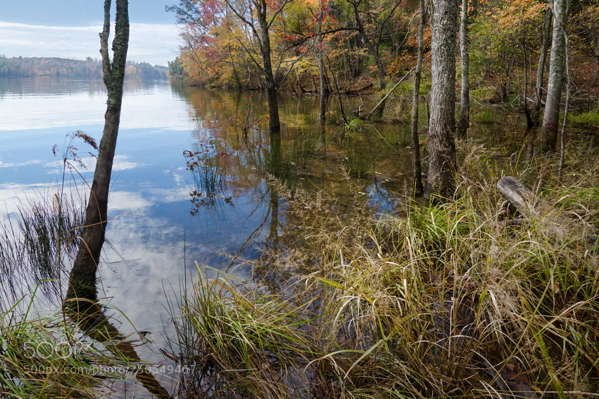 Nikon D5100 sample photo. Lake james autumn photography