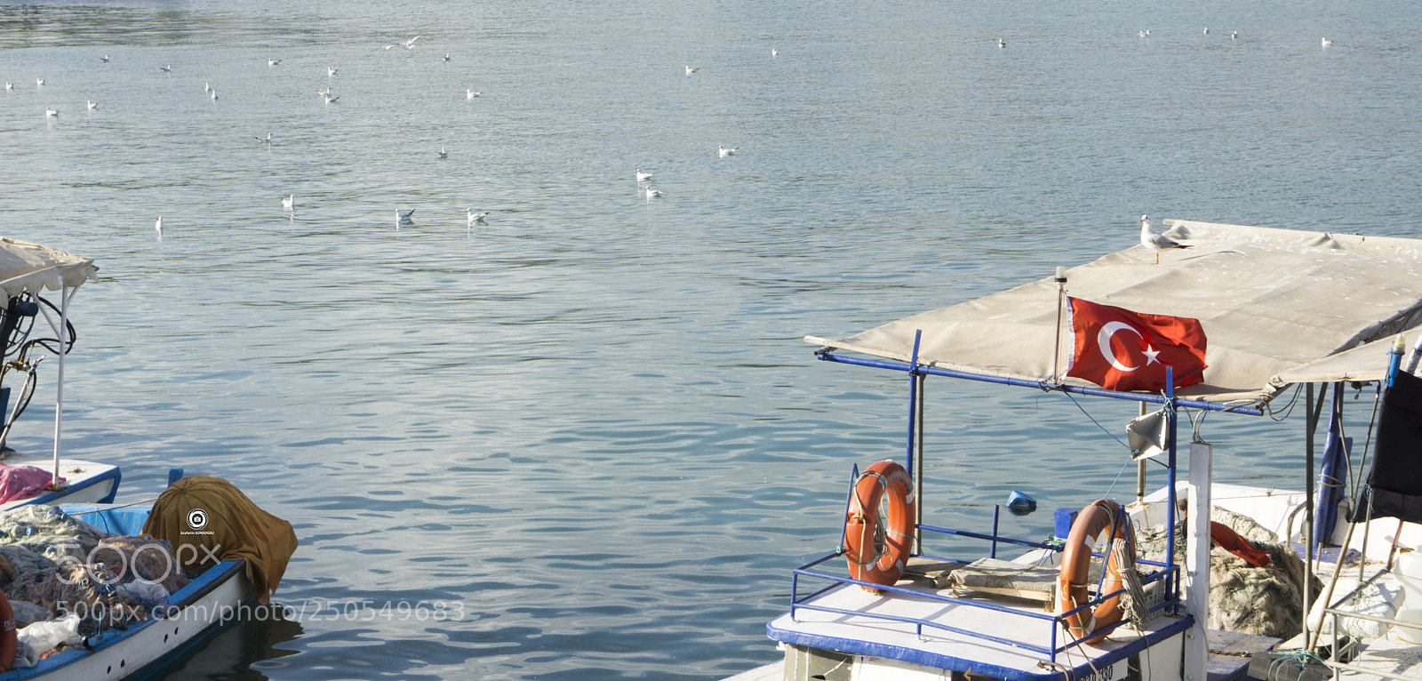 Sony a6000 sample photo. Mersin -seagulls and fishing photography