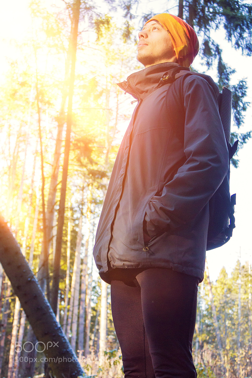 Canon EOS 650D (EOS Rebel T4i / EOS Kiss X6i) sample photo. Man hiking in pine photography