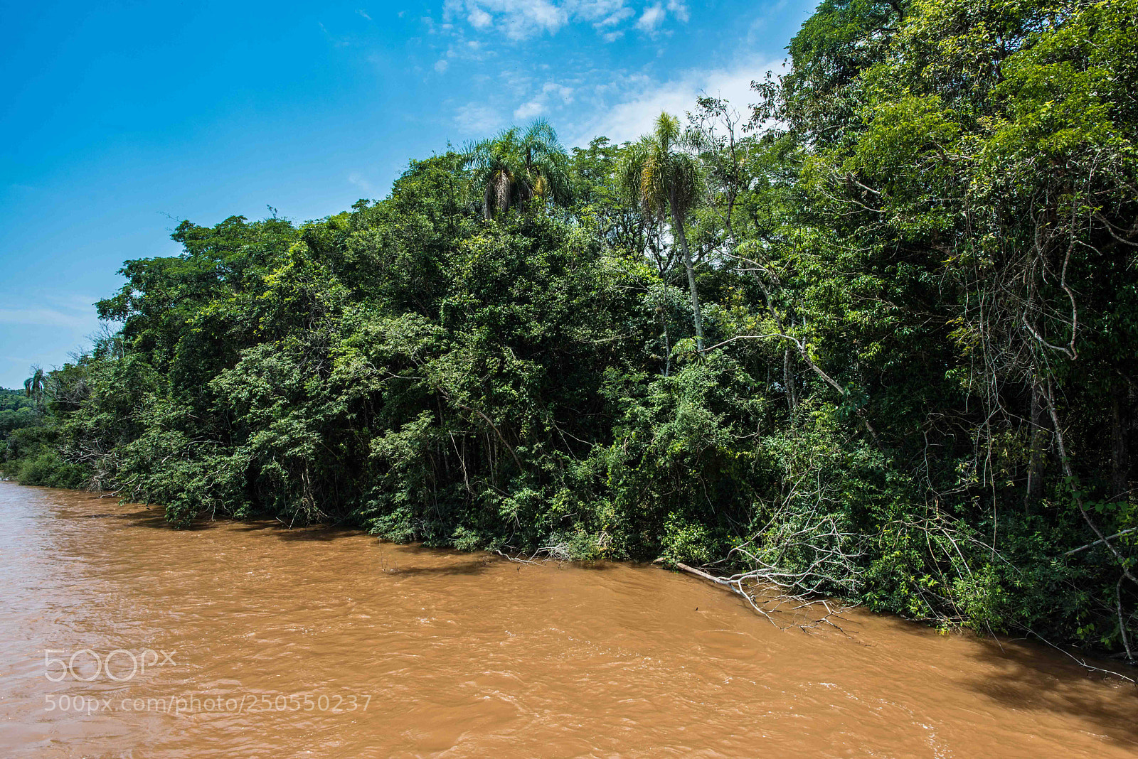 Nikon D800 sample photo. Rio, iguazu, brazil, corcovado. photography