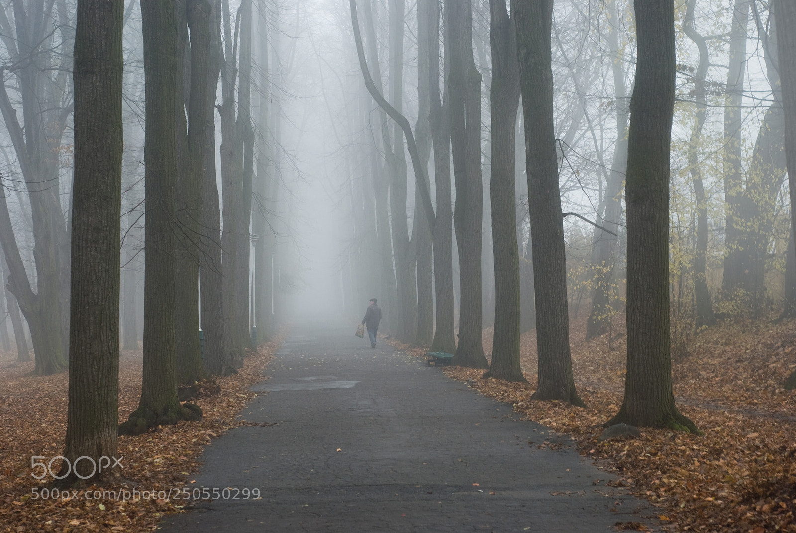 Nikon D80 sample photo. The road to nowhere photography