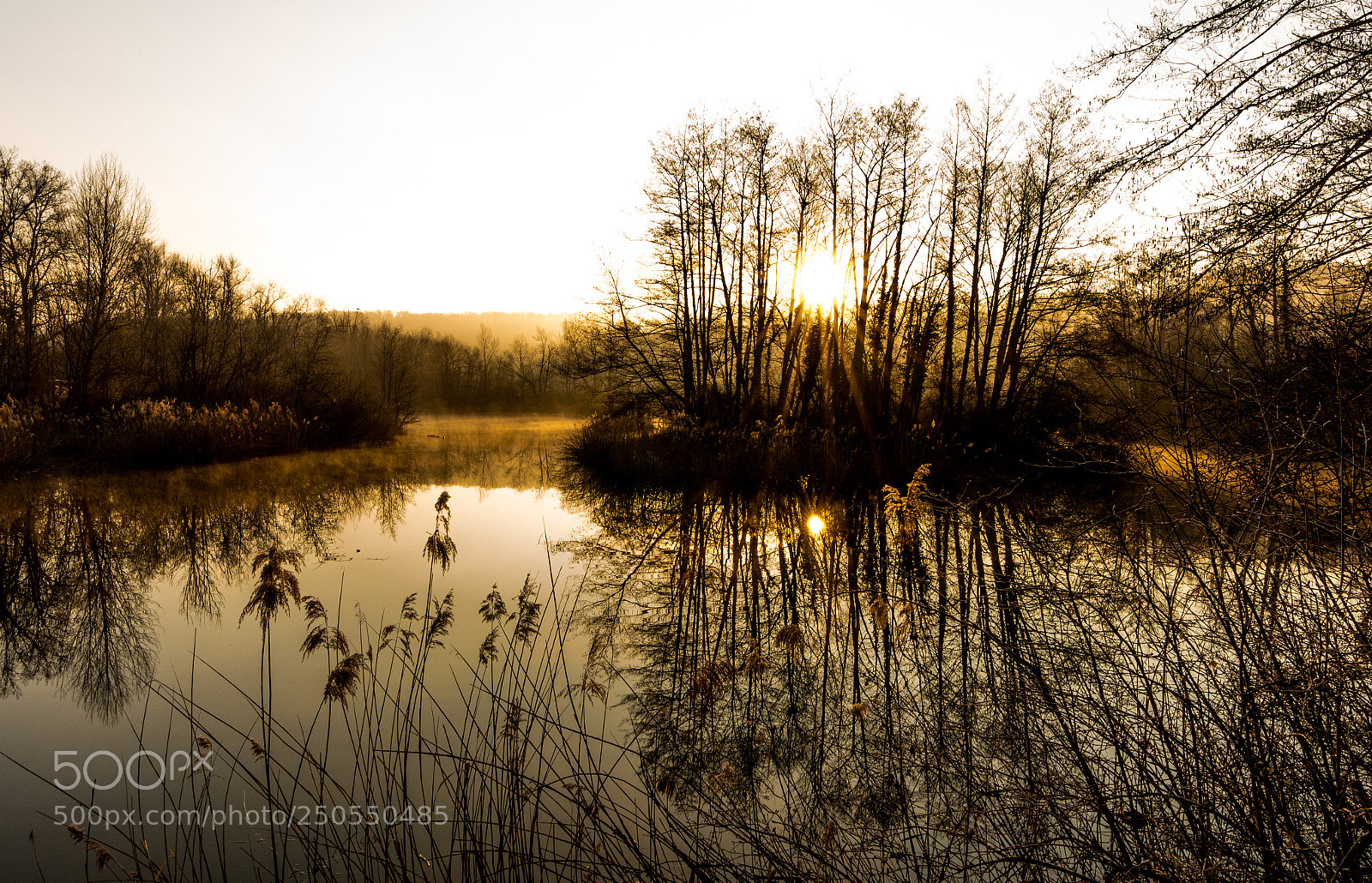 Sony a7R III sample photo. Morning at the pond... photography