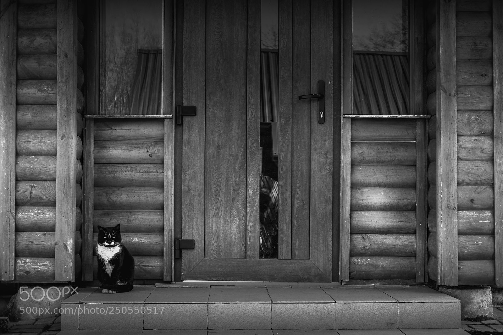 Fujifilm X-E2S sample photo. Cat guard photography