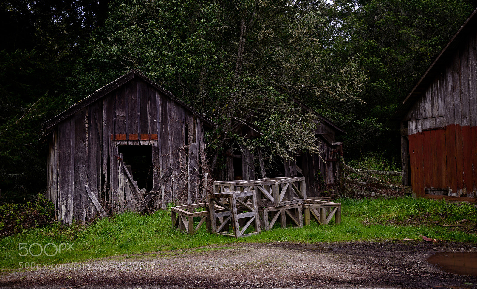 Nikon D850 sample photo. Abandoned dreams photography
