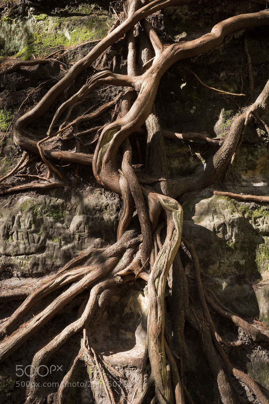 Canon EOS 600D (Rebel EOS T3i / EOS Kiss X5) sample photo. Starved rock photography