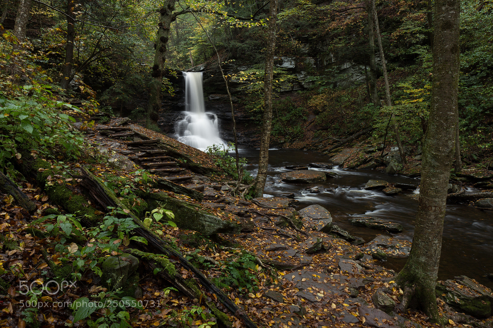 Canon EOS 600D (Rebel EOS T3i / EOS Kiss X5) sample photo. Reynolds falls photography