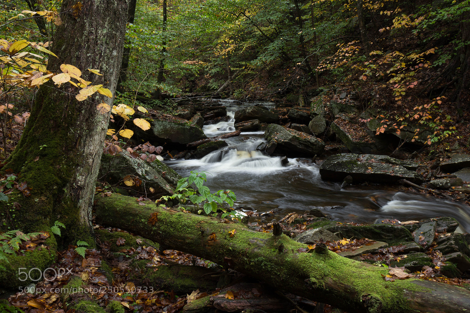 Canon EOS 600D (Rebel EOS T3i / EOS Kiss X5) sample photo. Creek at ganoga glen photography