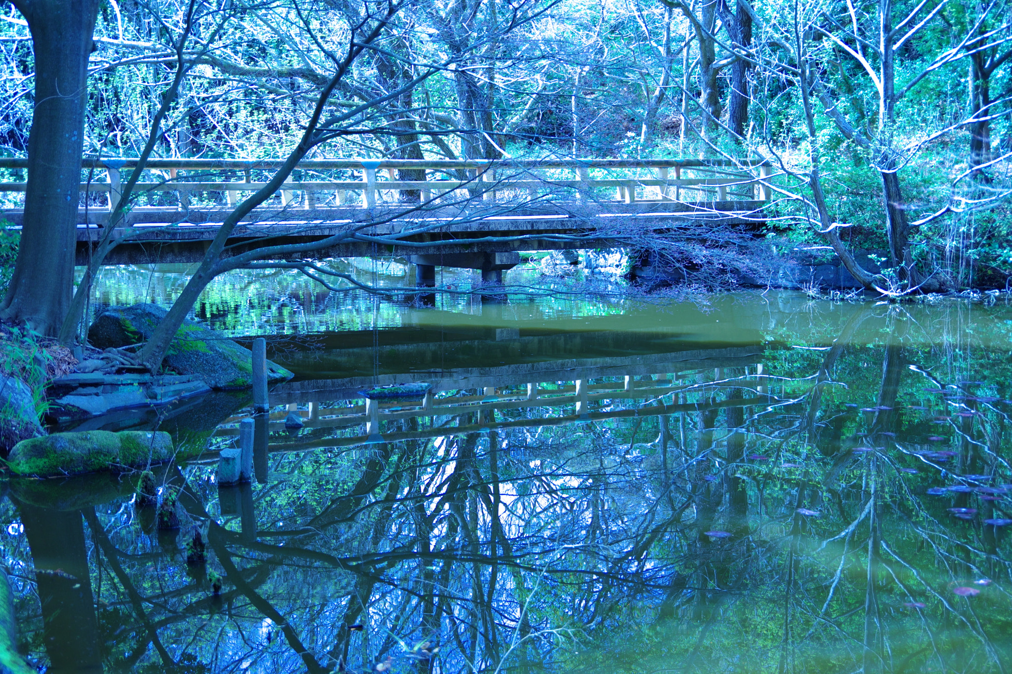 Pentax K-70 sample photo. Pond photography