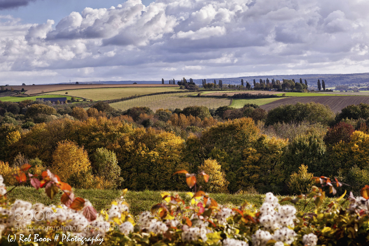 Canon EOS 5D Mark II sample photo. Autumn @ eyserbos photography