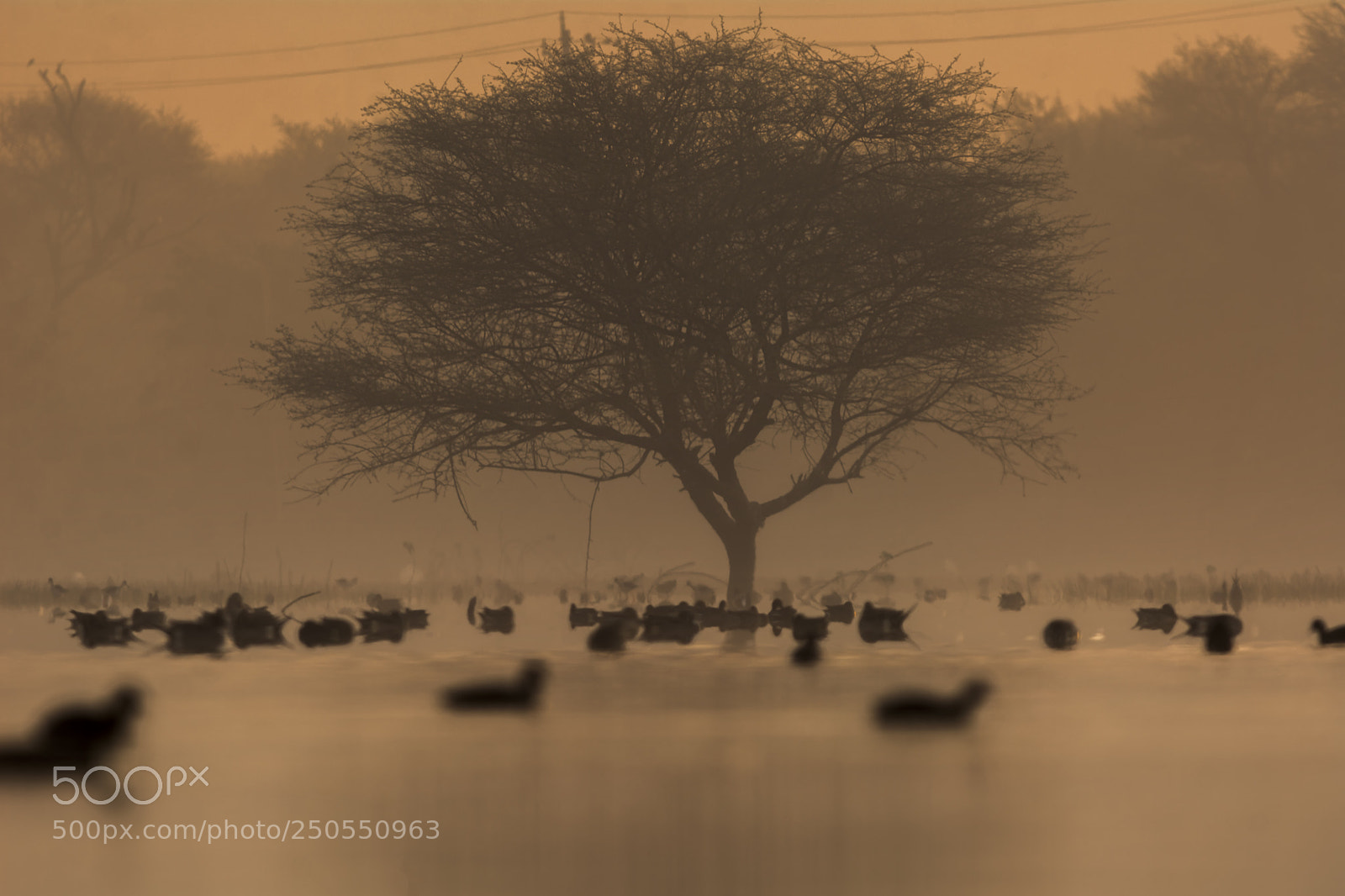Nikon D7100 sample photo. Nature scape photography