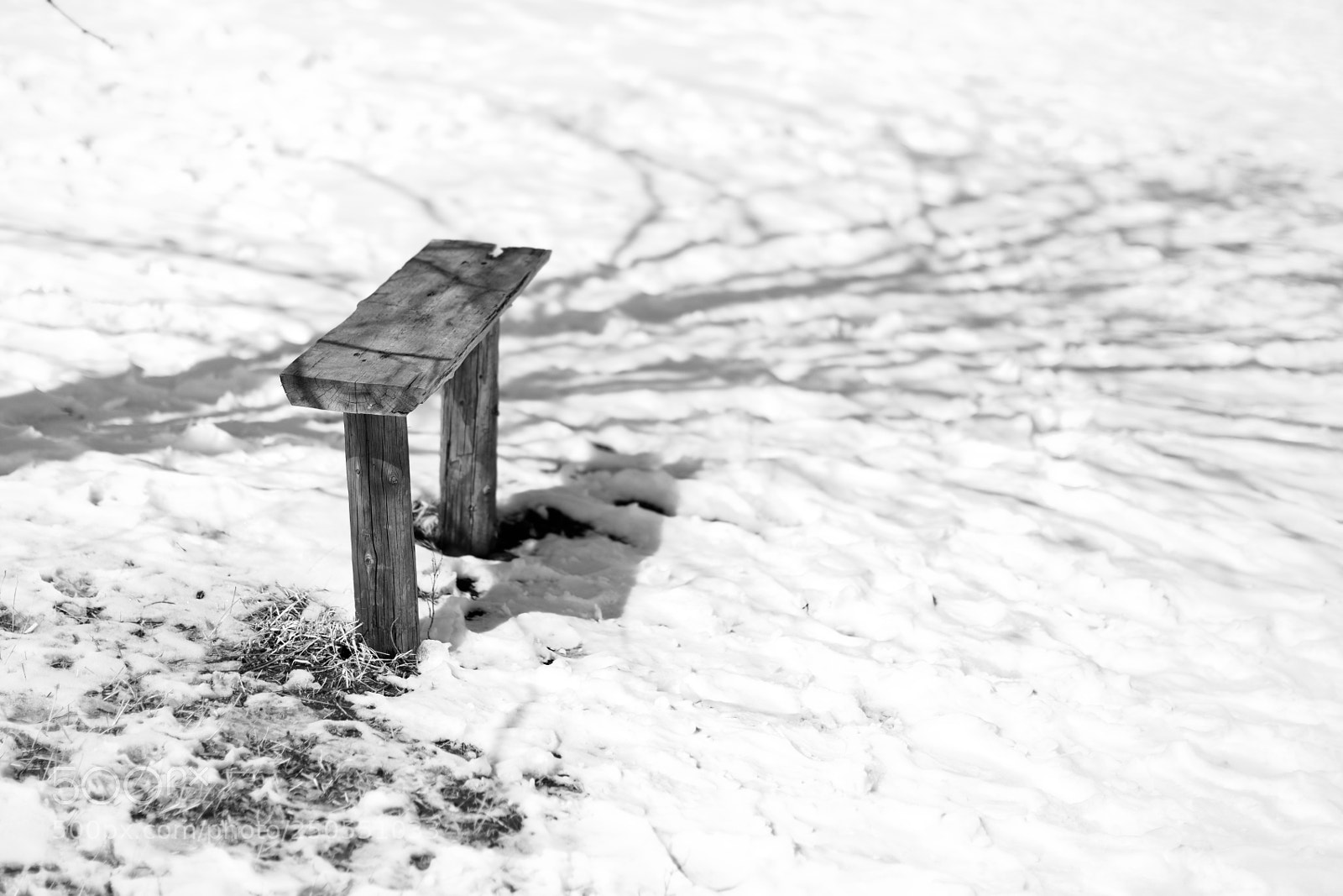 Canon EOS 5DS sample photo. A bench photography
