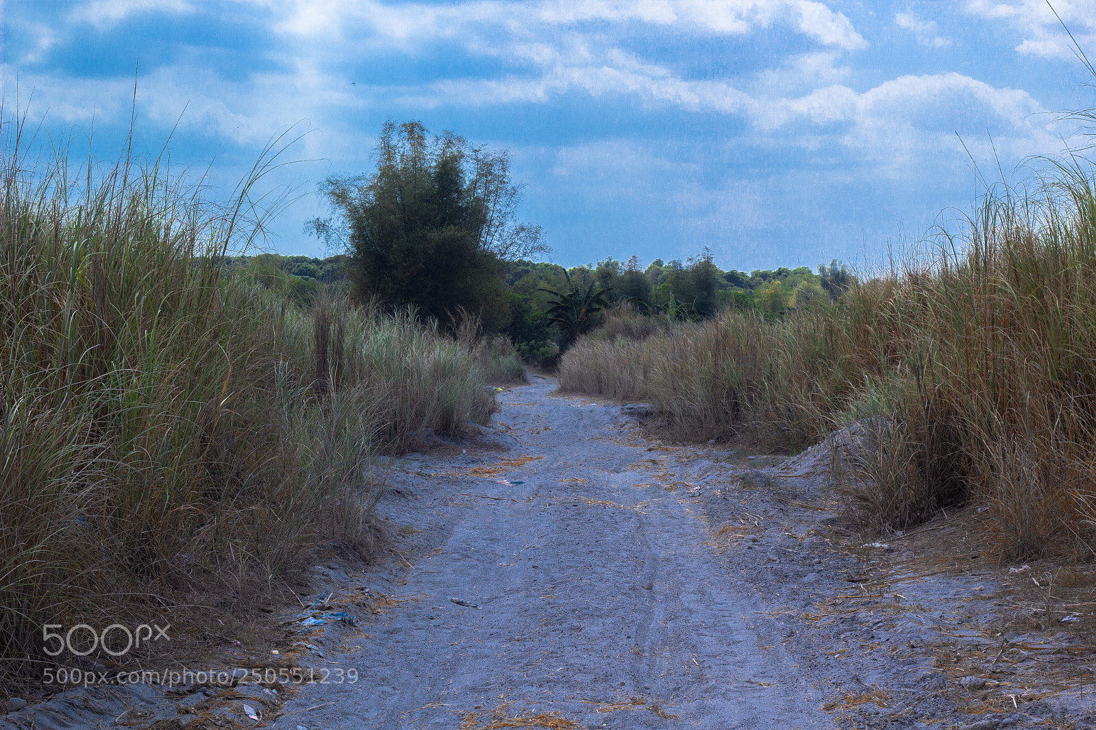 Canon EOS 60D sample photo. Scene on farm photography