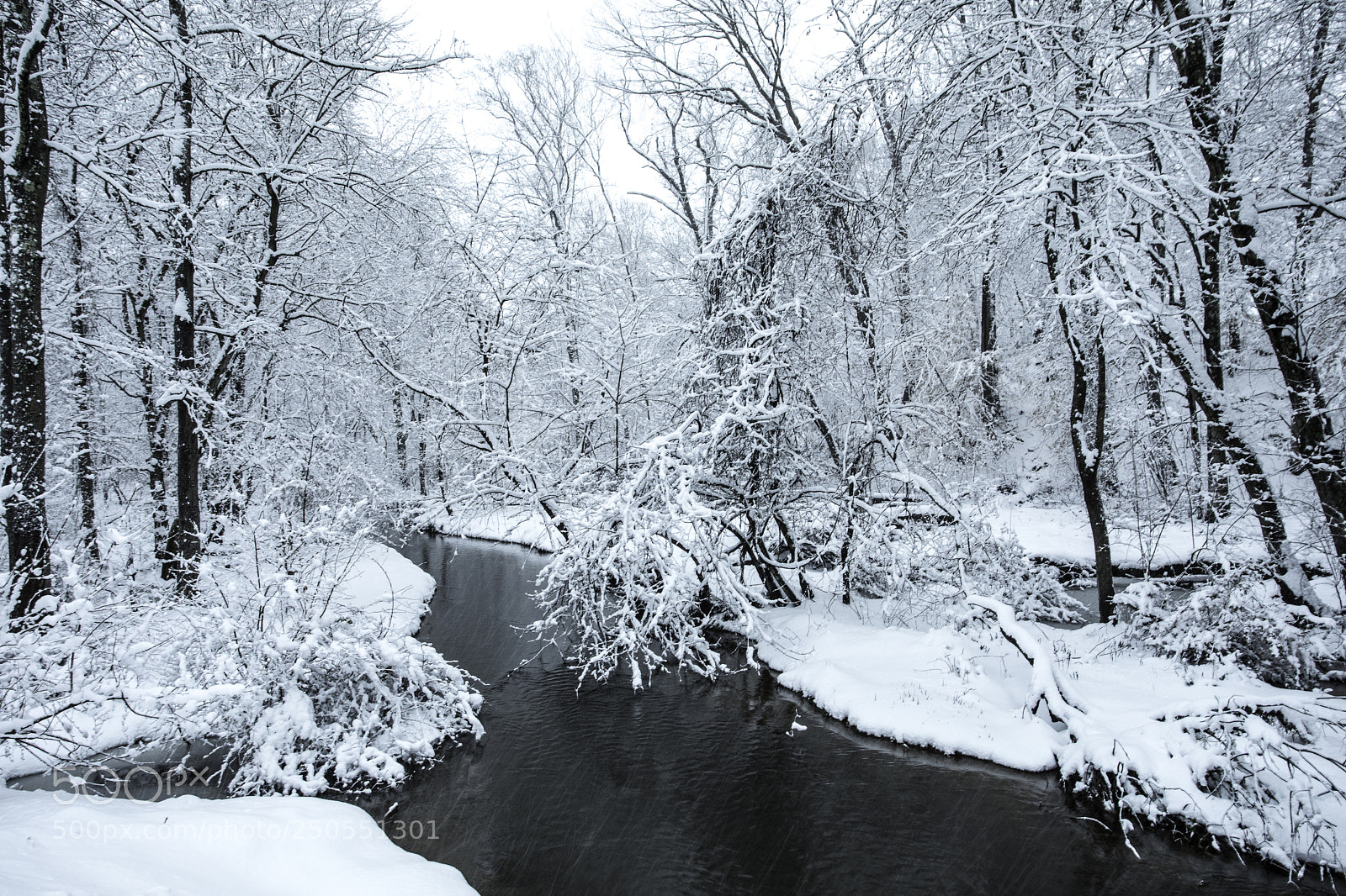 Canon EOS 5D Mark IV sample photo. Creek photography