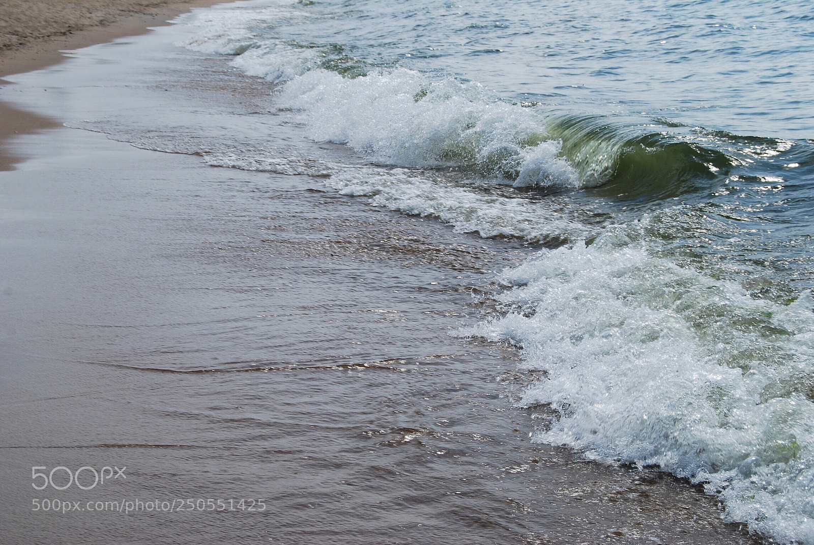 Nikon D40X sample photo. Curly photography