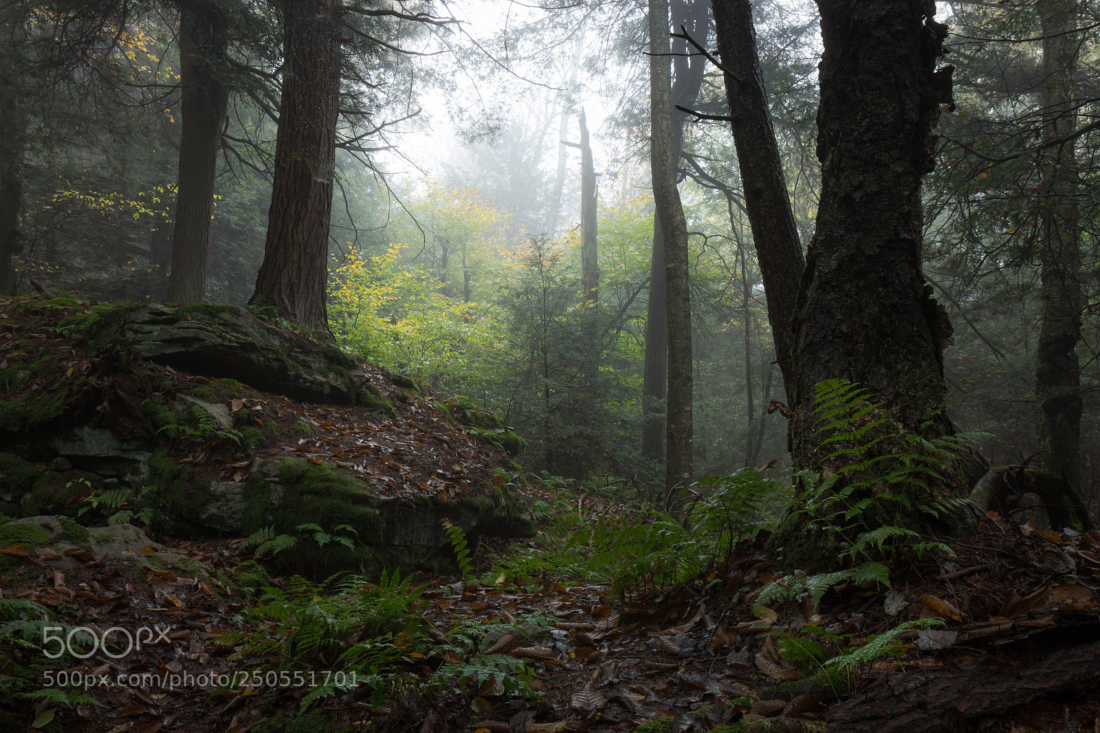 Canon EOS 600D (Rebel EOS T3i / EOS Kiss X5) sample photo. Grey on the highland photography