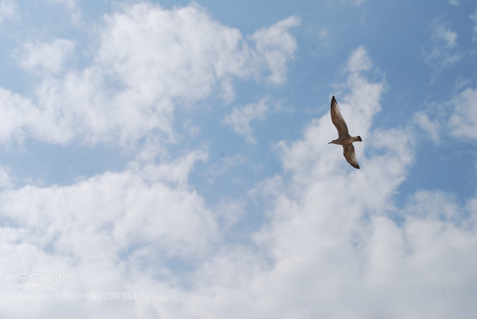 Nikon D40X sample photo. Moment  photography