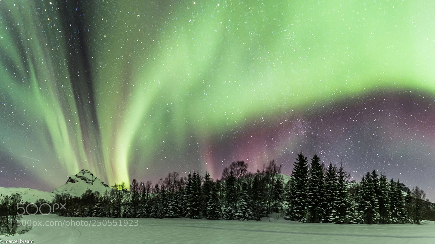 Canon EOS-1D X sample photo. Northern lights between de photography