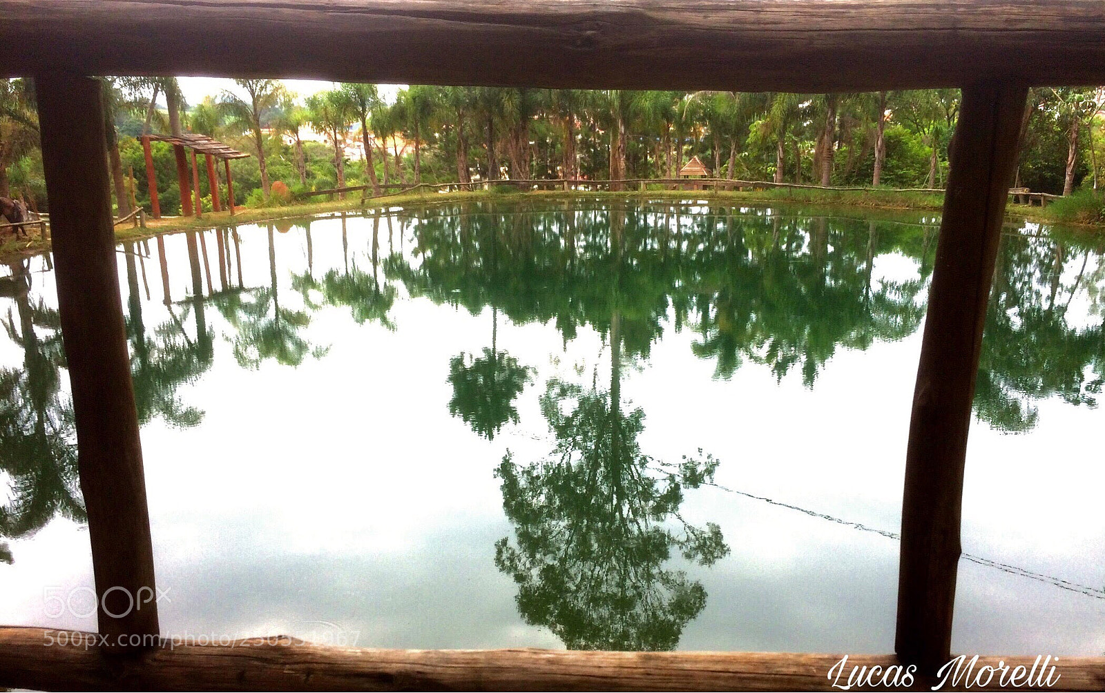 Apple iPhone 5s sample photo. Untitled photography