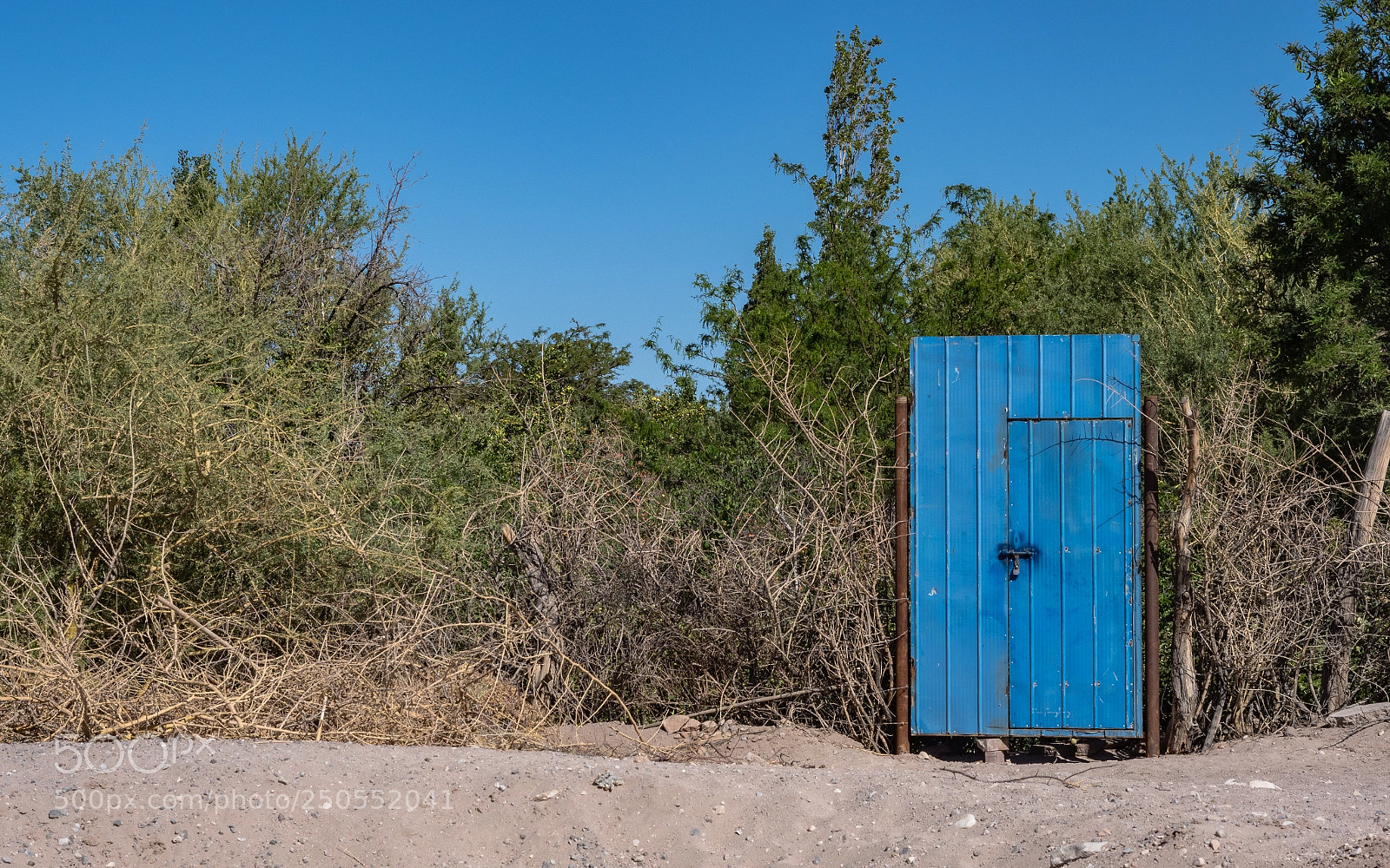 Olympus OM-D E-M1 Mark II sample photo. Blue gate photography