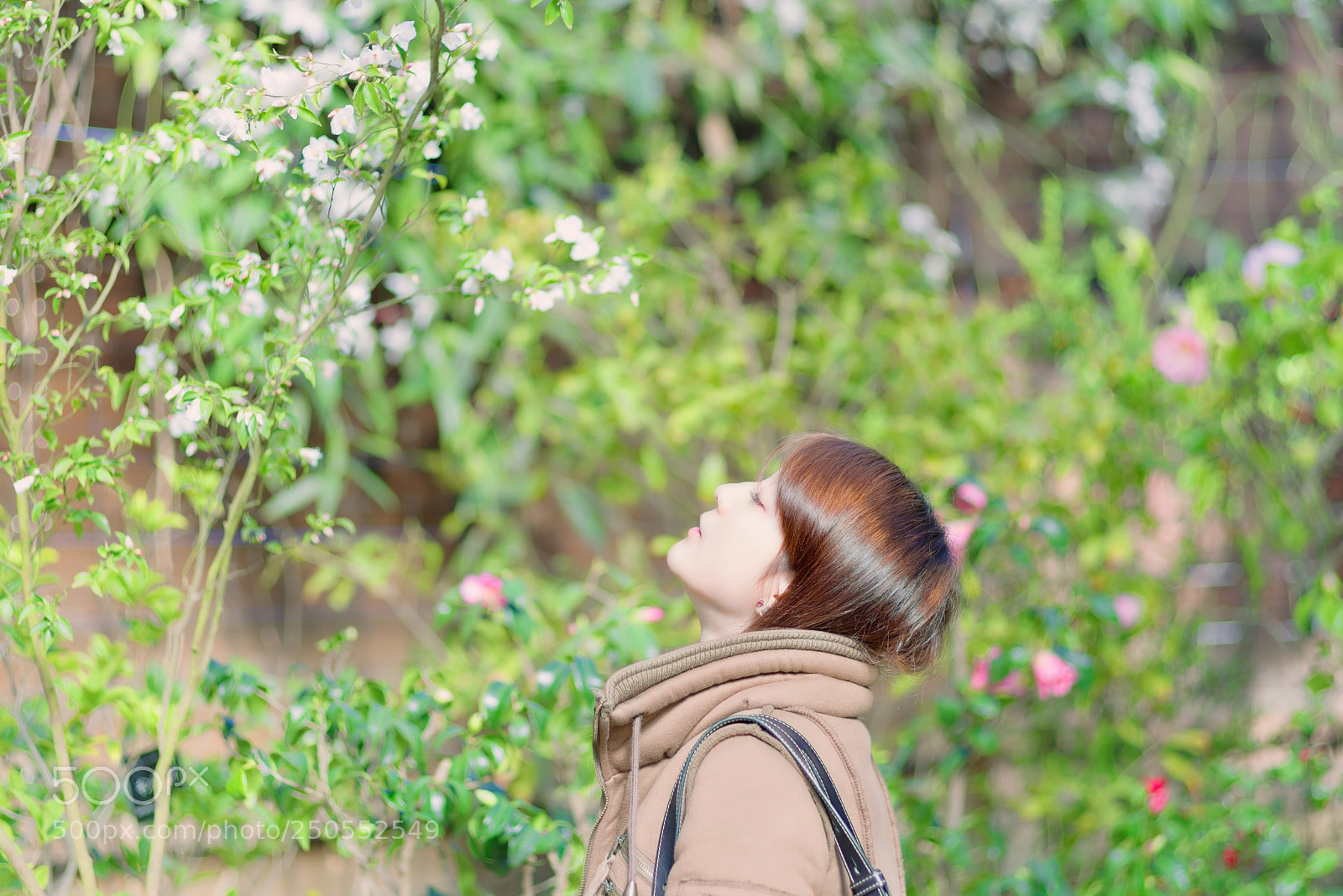 Pentax K-1 sample photo. Spring has come. photography