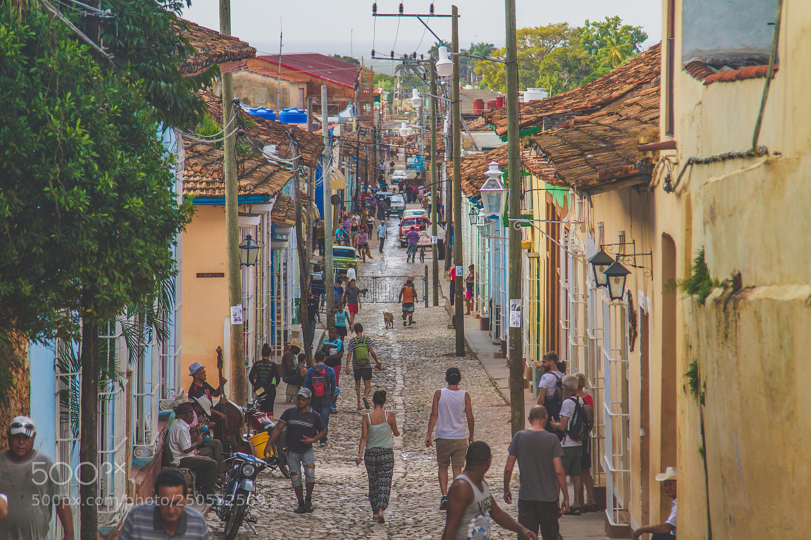 Canon EOS 7D sample photo. Busy life of trinidad photography