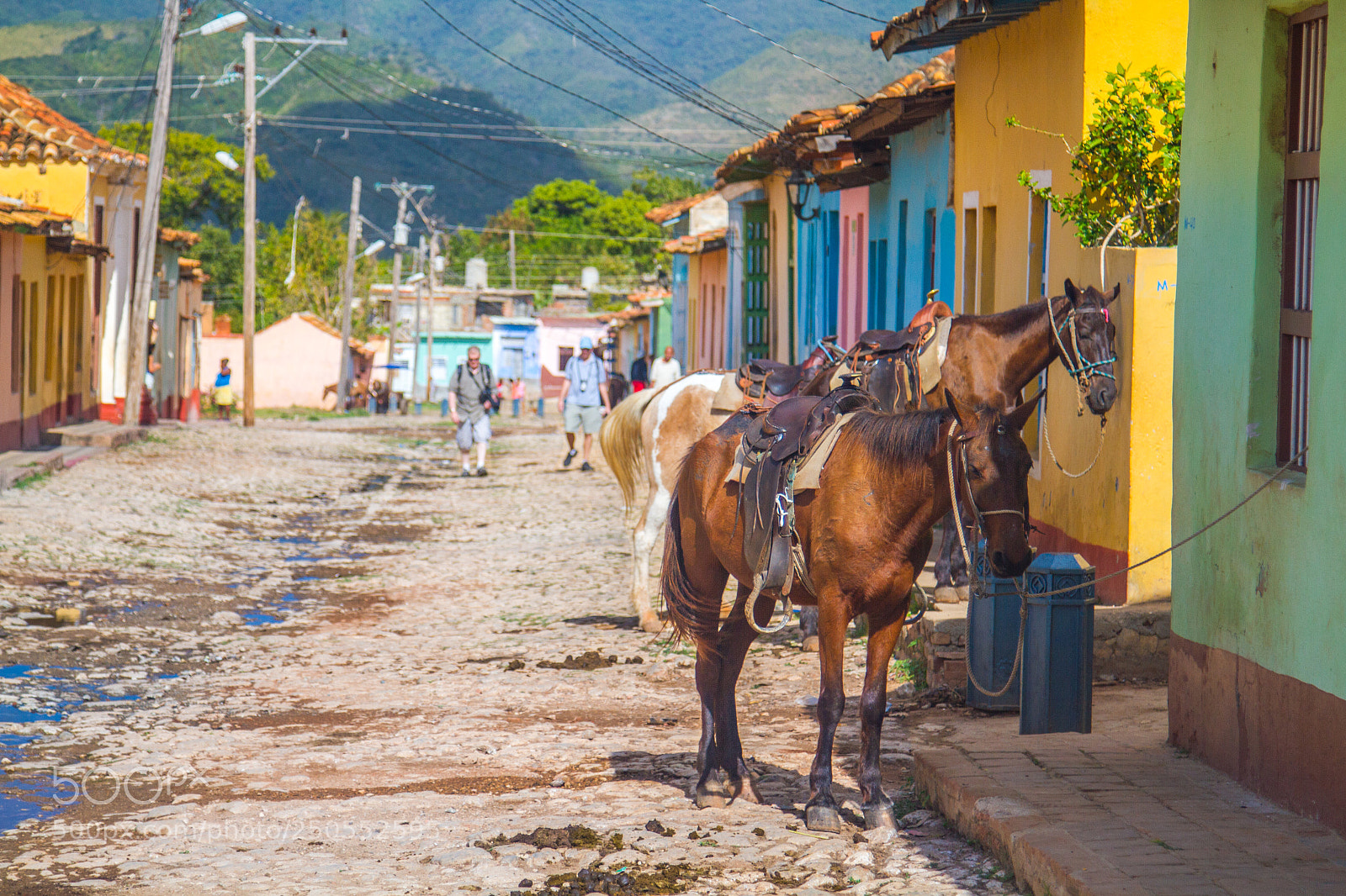 Canon EOS 7D sample photo. Trinidad's horses photography