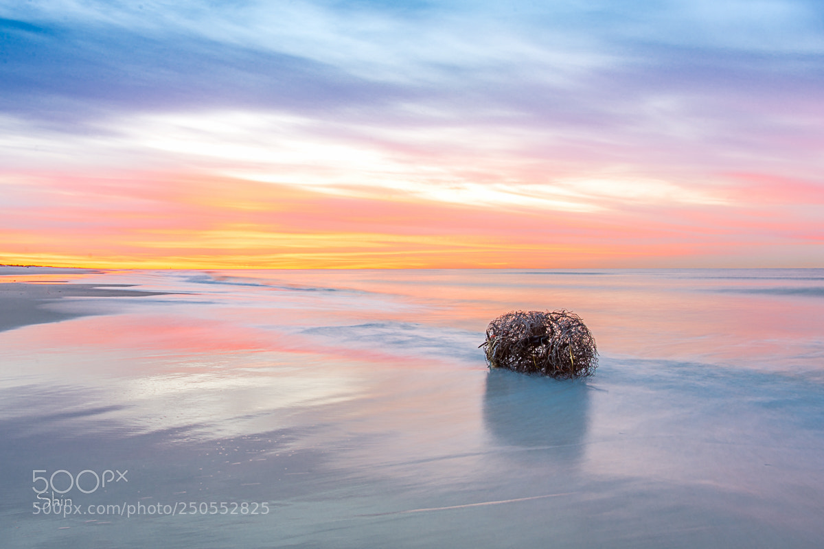 Nikon D7200 sample photo. Lonely beach sunrise photography