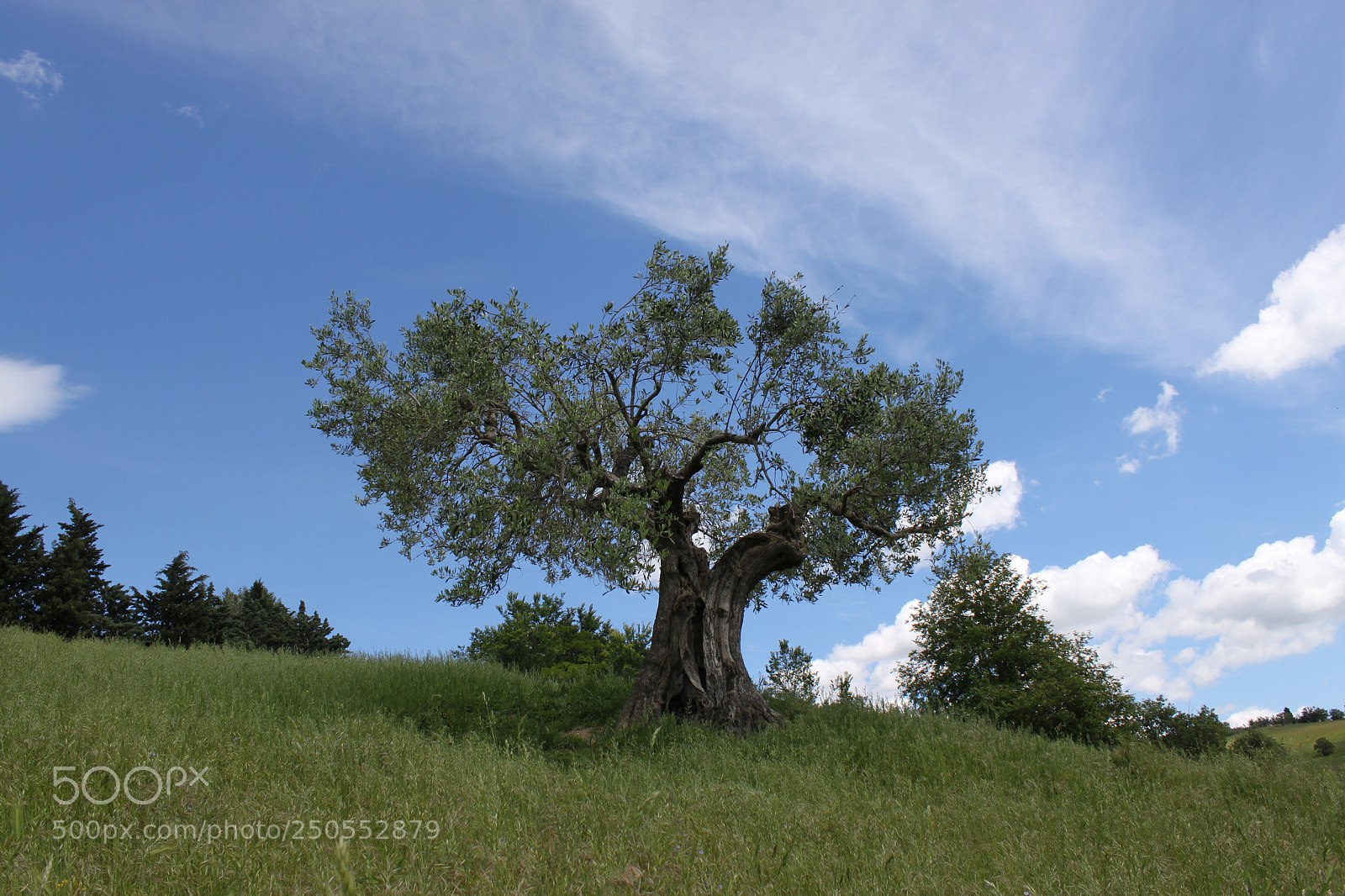 Canon EF-S 18-55mm F3.5-5.6 IS sample photo. Img photography