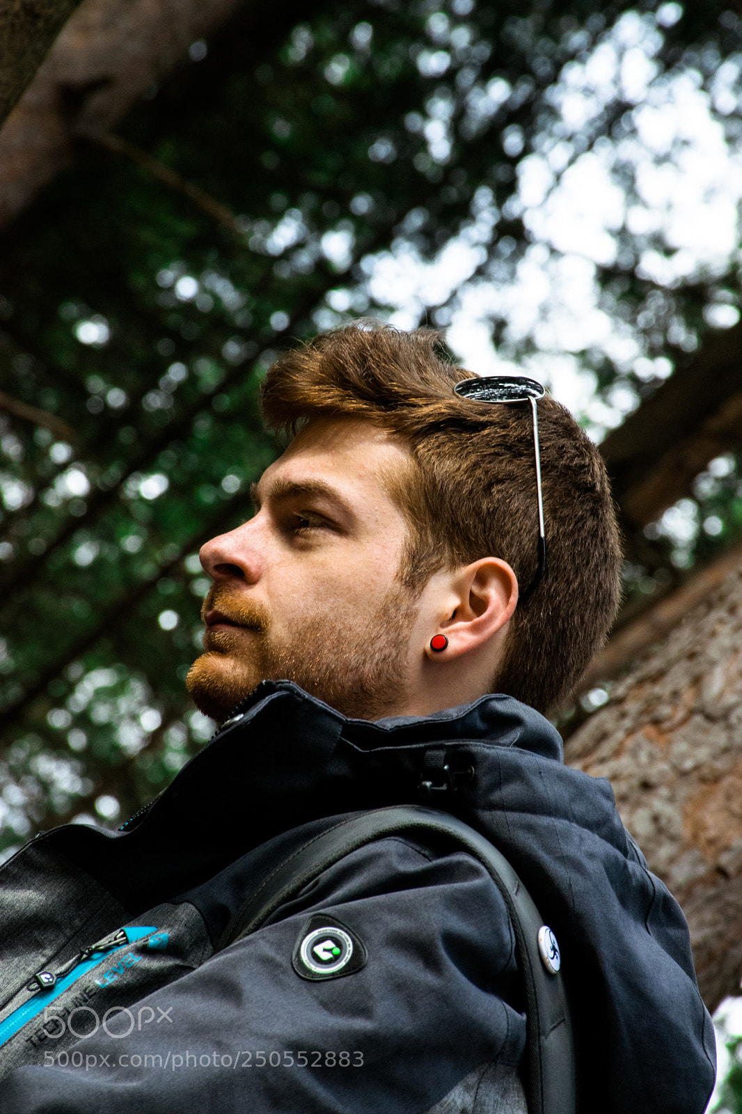 Nikon D5300 sample photo. Forest photoshoot photography