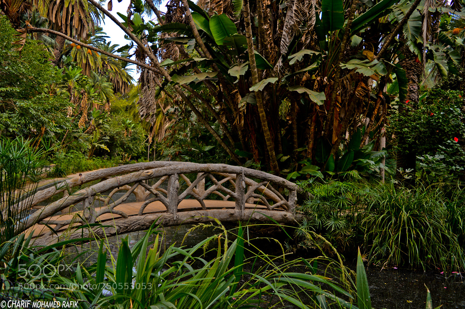 Nikon D3200 sample photo. The bridge photography