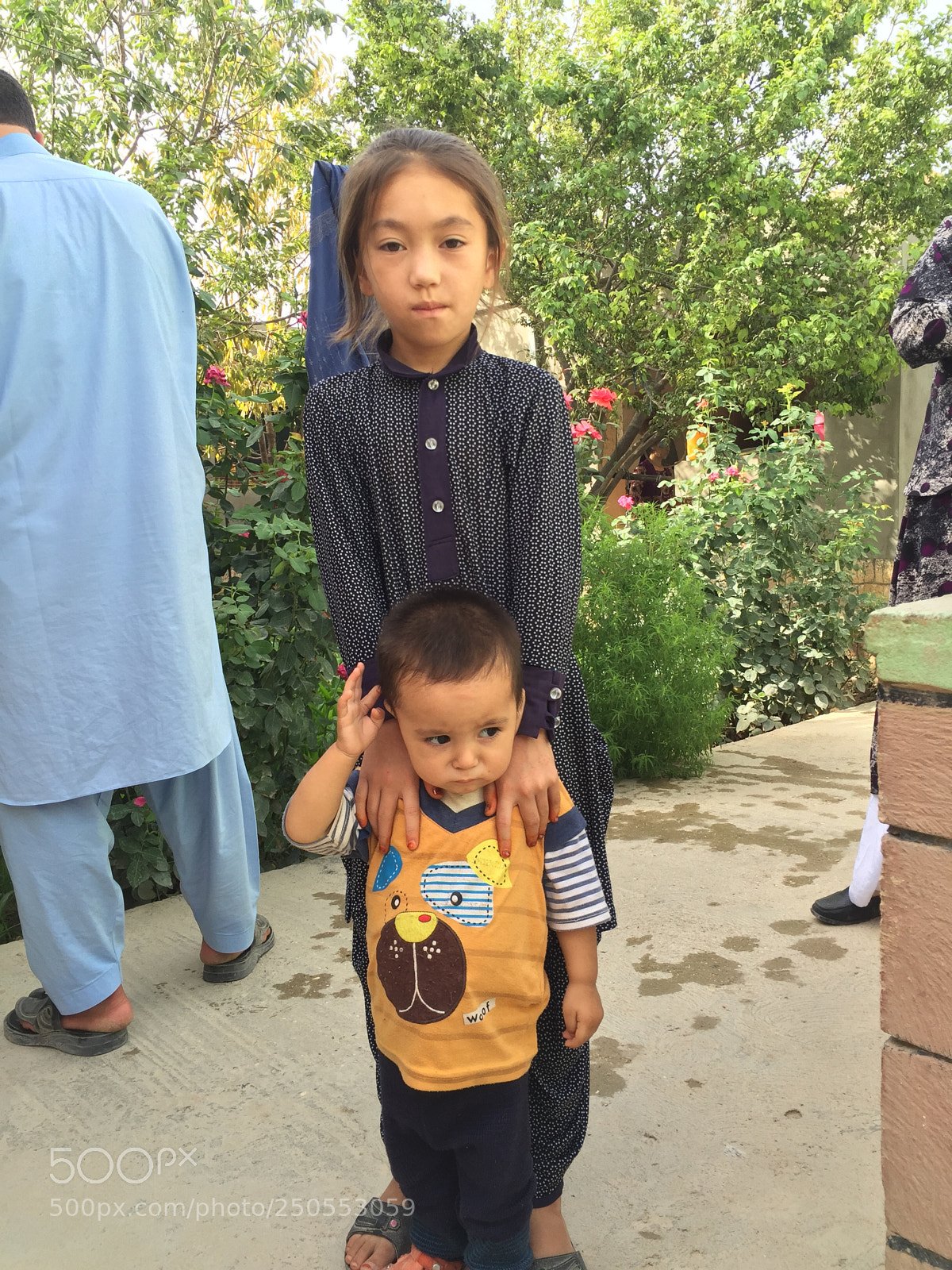 Apple iPhone 6 Plus sample photo. Img photography
