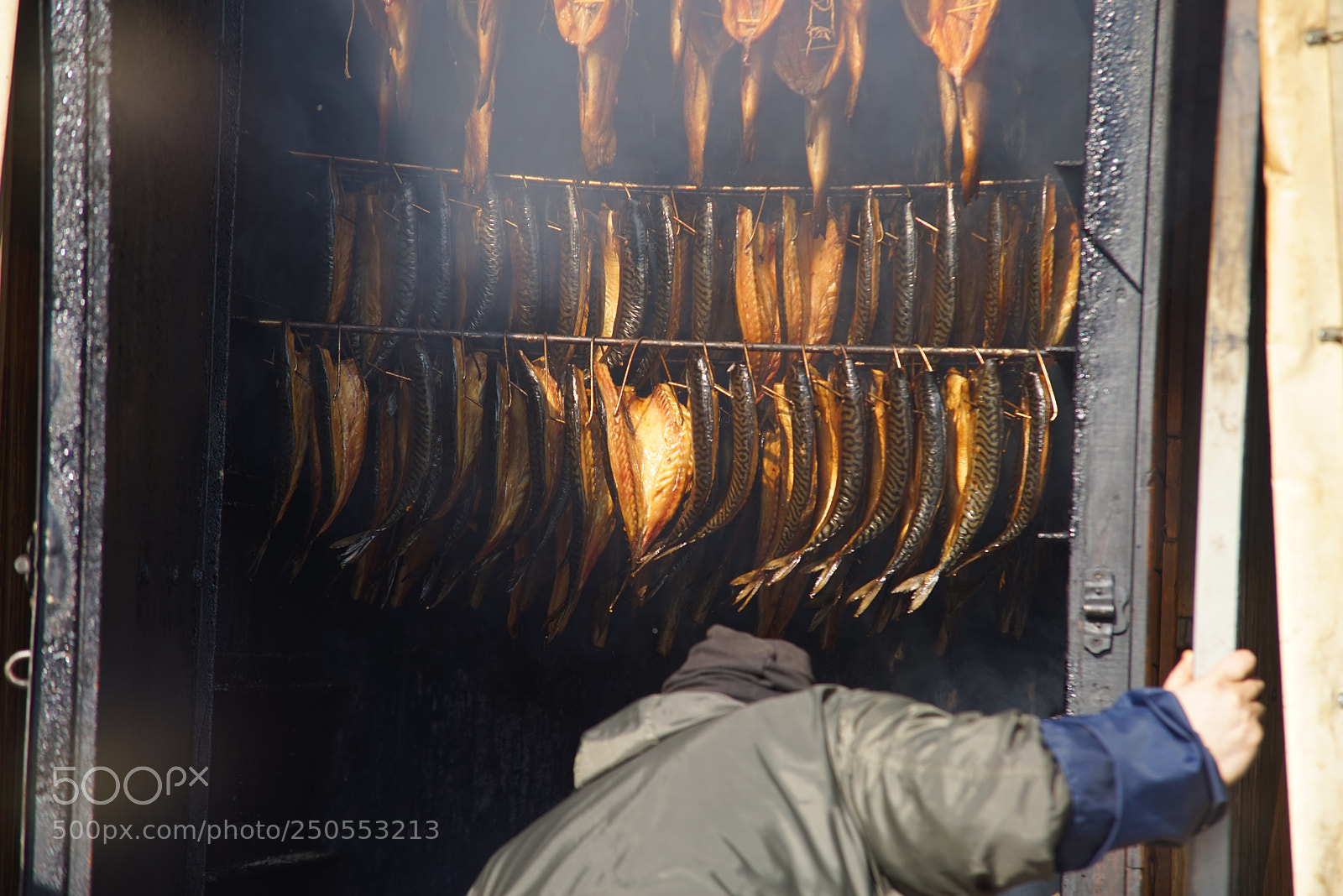 Sony a7R sample photo. Dsc photography