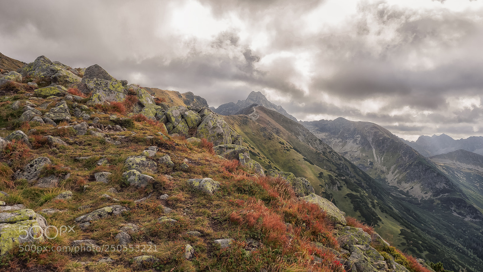 Olympus OM-D E-M5 II sample photo. Trail photography