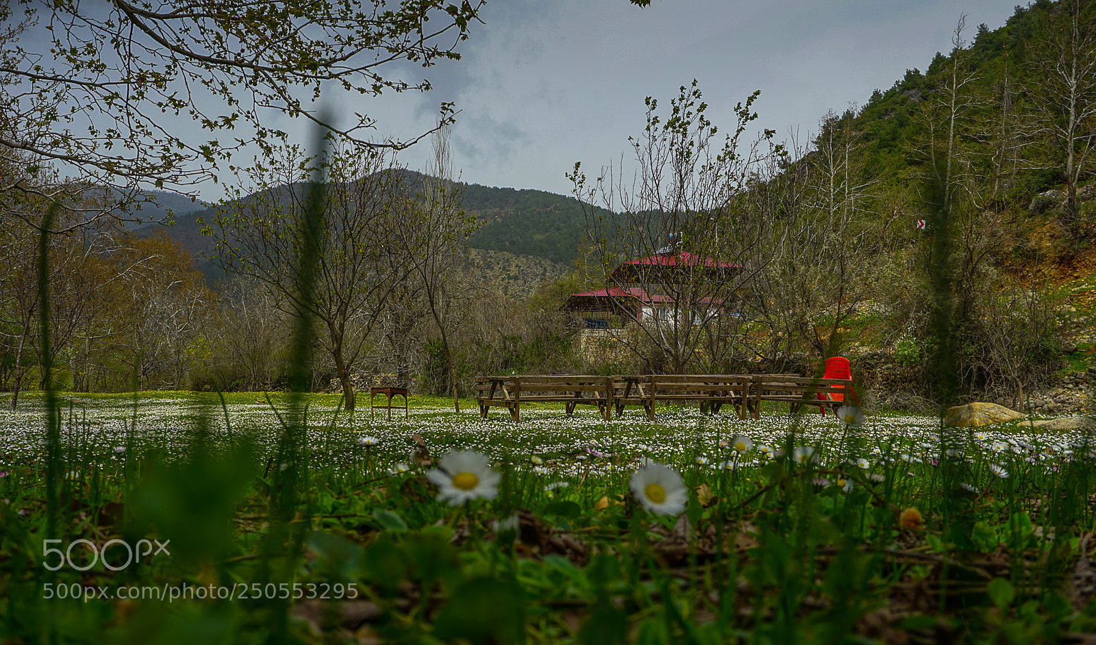Sony a6000 sample photo. Dsc photography