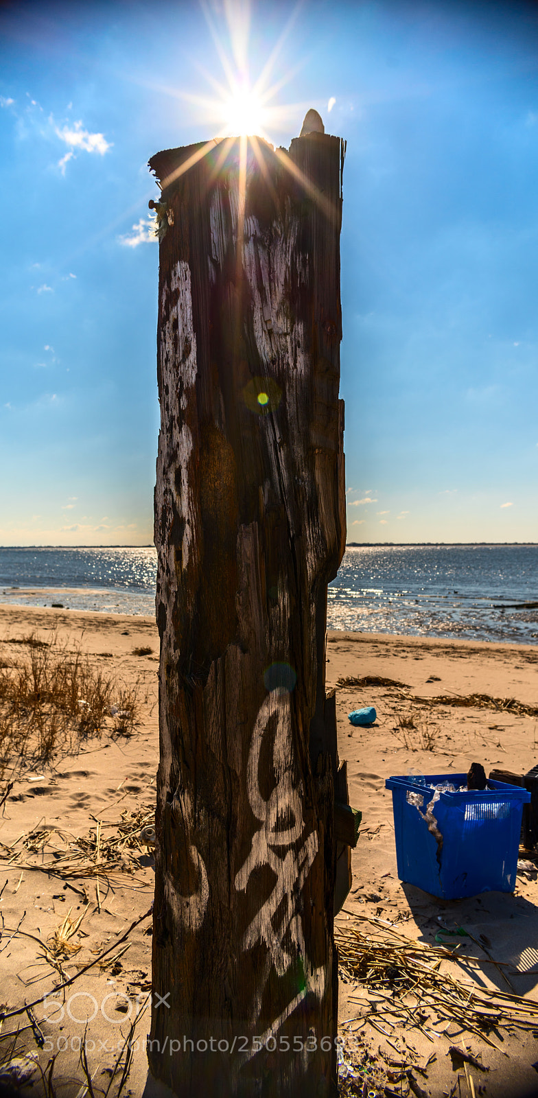 Pentax K-1 sample photo. 146.jpg photography