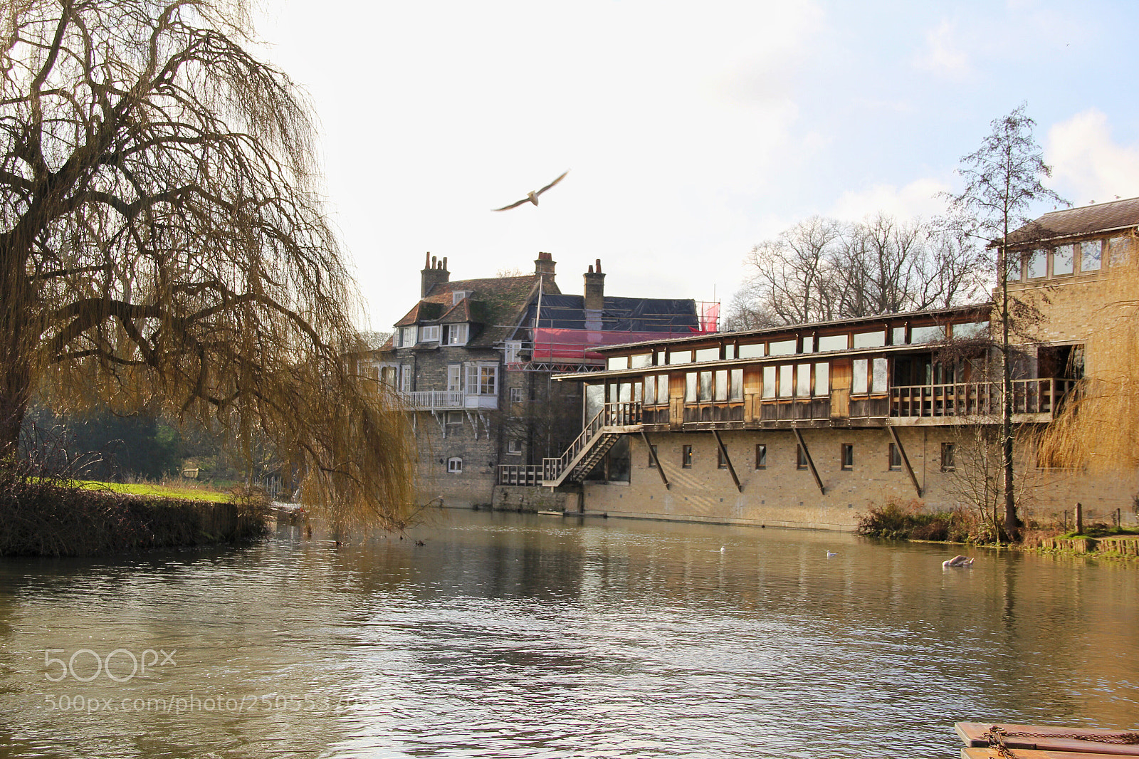 Canon EOS 60D sample photo. Cambridge photography