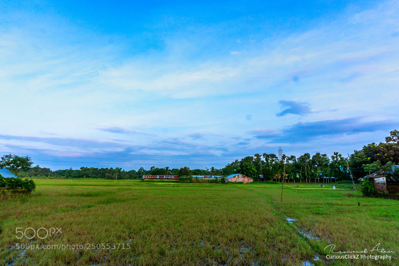 Sony a6000 sample photo. The greenfield blue sky photography