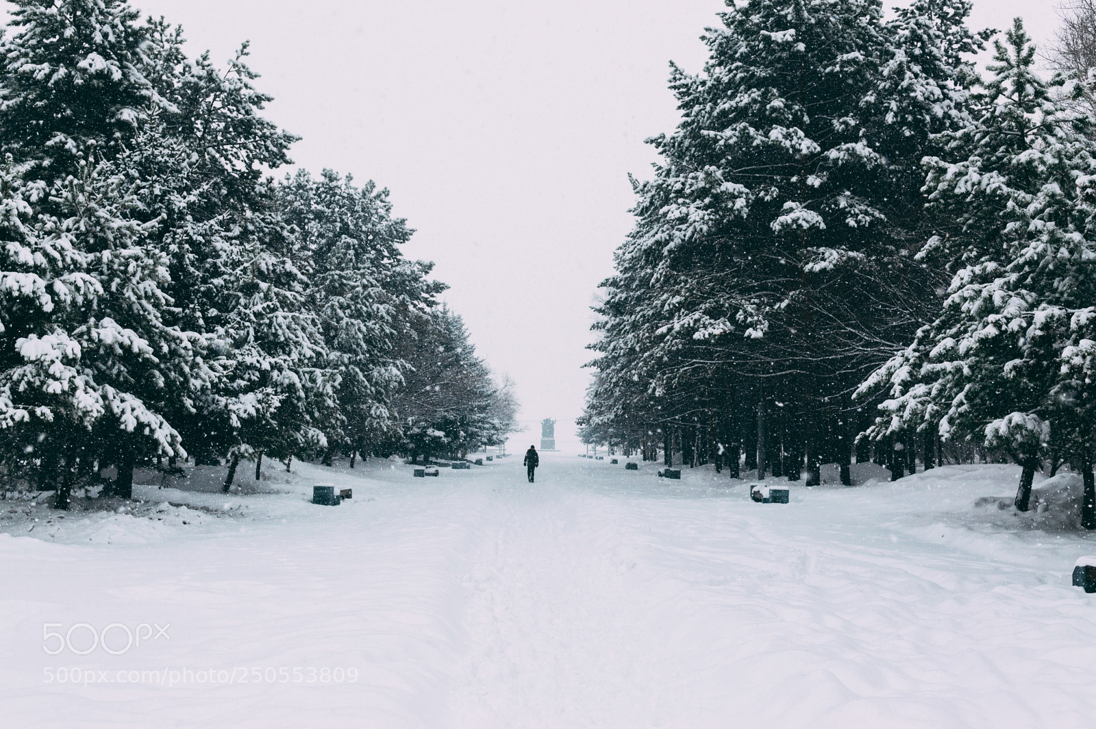 Nikon D3200 sample photo. Winter in the spring photography
