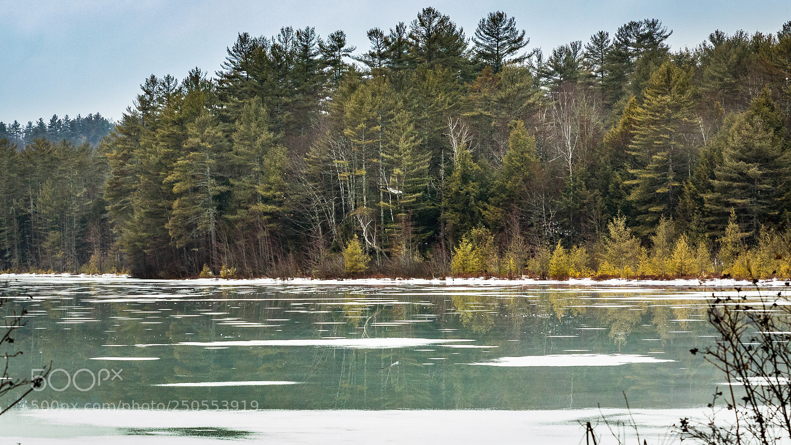 Canon EOS 5D Mark IV sample photo. Reflection on a frozen photography